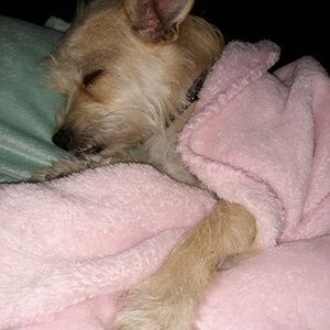 Meet your Posher, Tamara